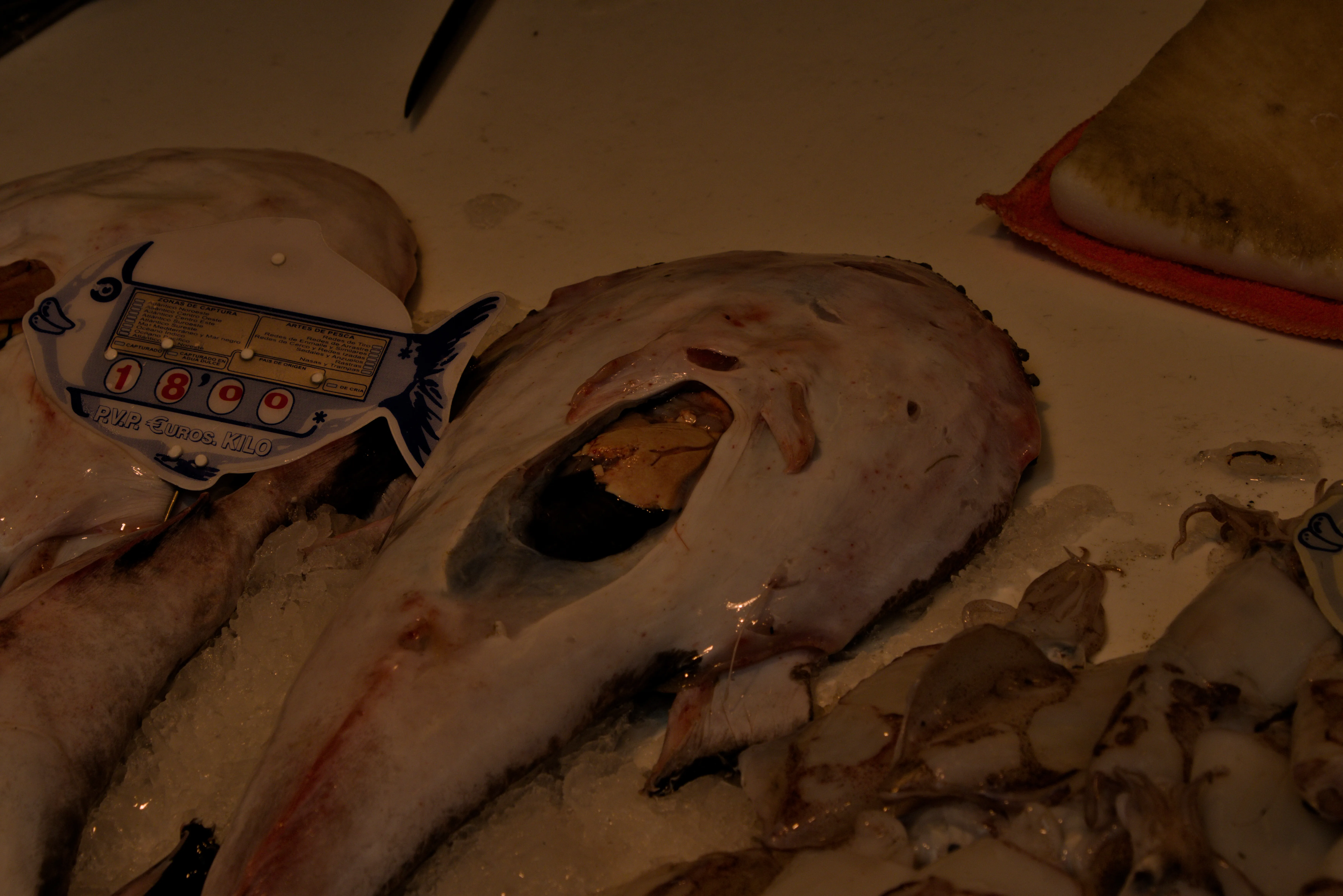 Tamron 28-300mm F3.5-6.3 (EF) - _I4A5072.webp